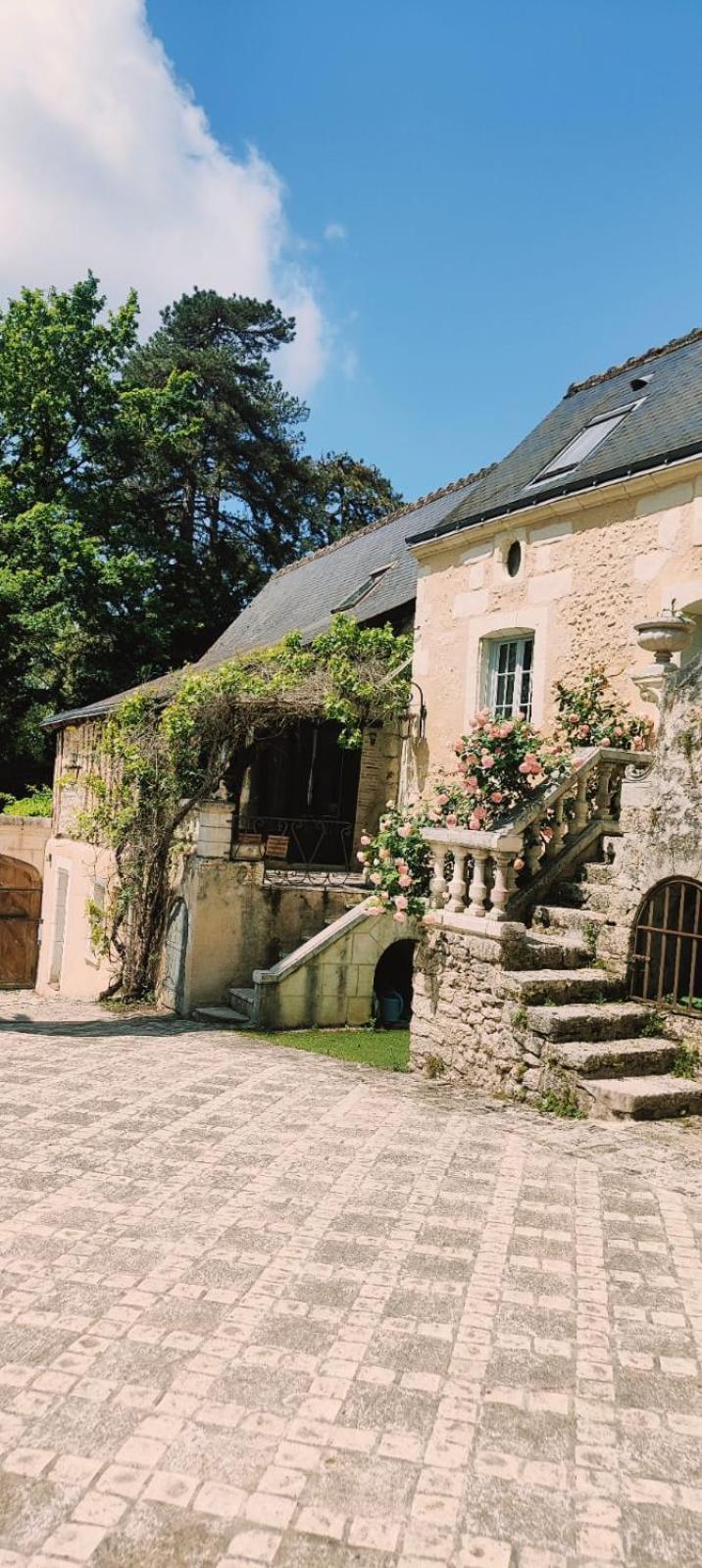 Maison D'Hotes Prince Face Au Chateau Du Clos Luce Amboise Exterior photo