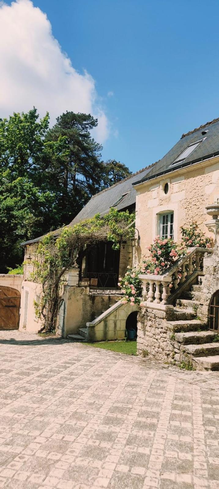 Maison D'Hotes Prince Face Au Chateau Du Clos Luce Amboise Exterior photo